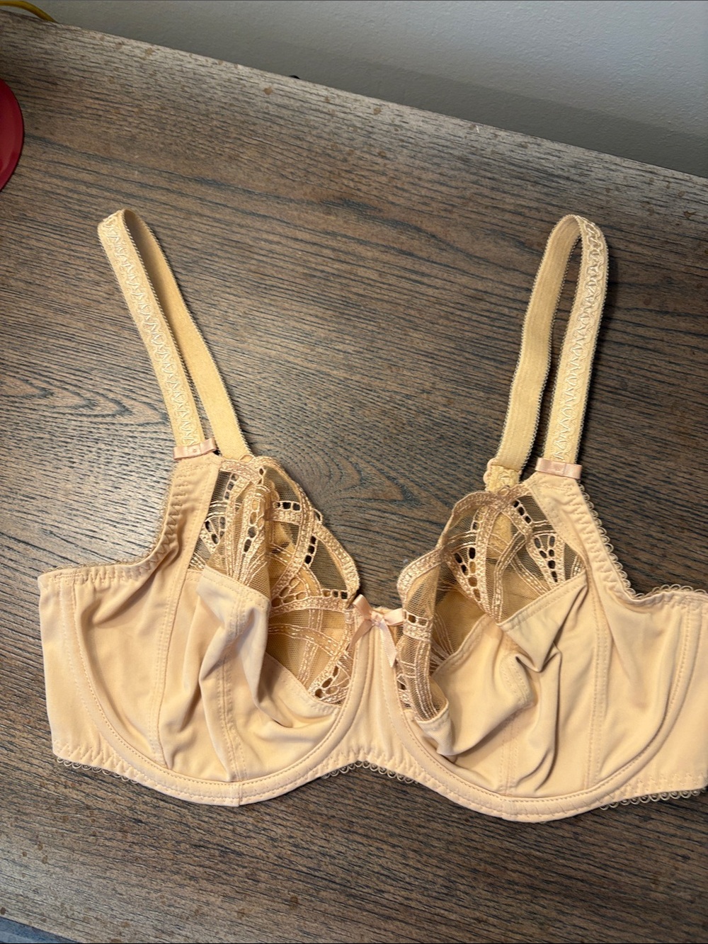 Fantasie Beige Lace-Trim Underwire Bra Sz 34DDD